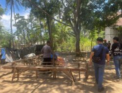 Polsek Kalipuro Gerebek Lokasi Diduga Judi Sabung Ayam di Tengah Kebun Kelapa
