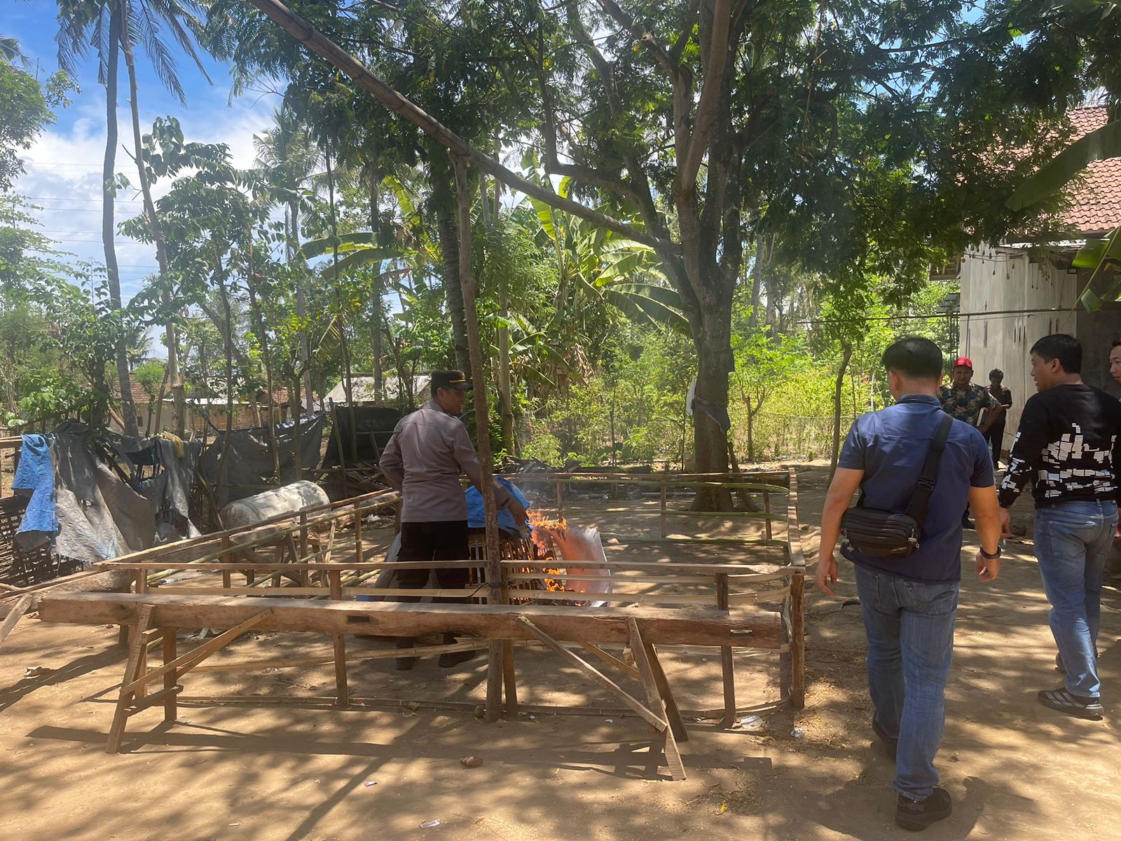 polsek-kalipuro-gerebek-lokasi-diduga-judi-sabung-ayam-di-tengah-kebun-kelapa