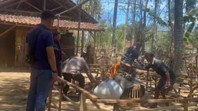 gerebek-arena-sabung-ayam-di-kalipuro!-polisi-temukan-barang-bukti-dan-langsung-musnahkan-di-tempat