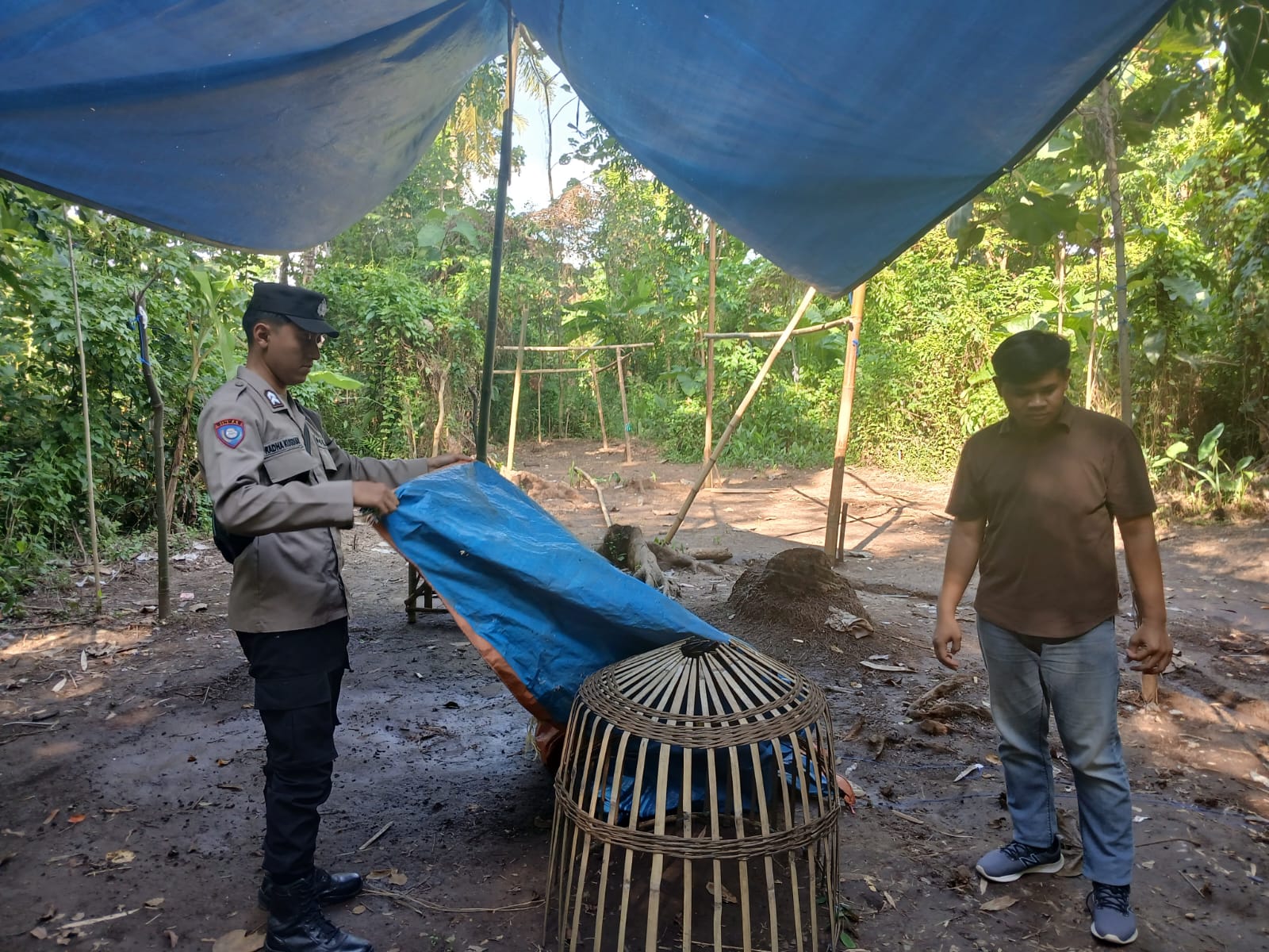 polsek-cluring-tindaklanjuti-laporan-masyarakat,-gerebek-arena-judi-sabung-ayam-di-tengah-kebun