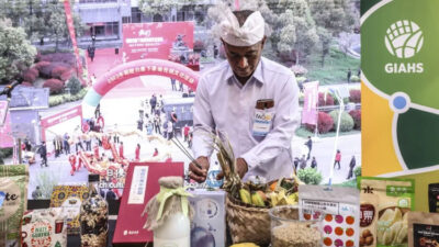 indonesia-raih-sertifikat-giahs-pertama-dari-fao-untuk-agroforestri-salak-bali-–-times-banyuwangi