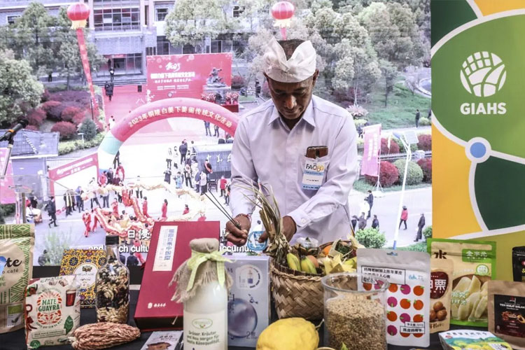 indonesia-raih-sertifikat-giahs-pertama-dari-fao-untuk-agroforestri-salak-bali-–-times-banyuwangi