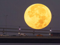 Supermoon akan Hiasi Langit Indonesia 5 November 2025 – TIMES Banyuwangi