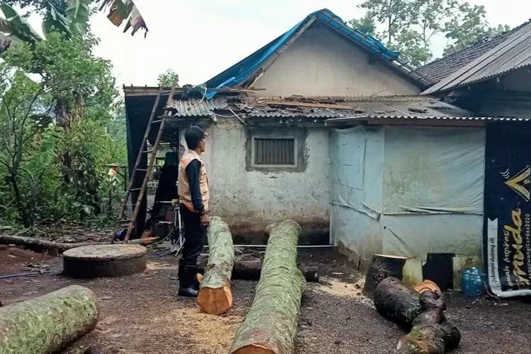 diterpa-angin-kencang,-rumah-warga-kalibaru-roboh-tertimpa-pohon!-pasutri-alami-luka-saat-tidur