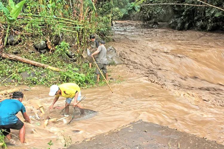 debit-sungai-kalisetail-naik-tiga-kali-lipat!-warga-sempu-panik,-suara-gemuruh-bikin-cemas