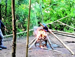 Polisi Gerebek Arena Sabung Ayam di Cluring! Warga Resah, Barang Bukti Langsung Dibakar di Tempat