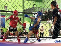 HUT ke-80, Brimob Jatim Gelar Kejurda Tarung Bebas Indonesia 2025