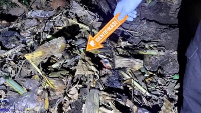 kronologi-lengkap-ibu-di-banyuwangi-kubur-bayinya-di-belakang-rumah,-polisi-ungkap-fakta-mengerikan