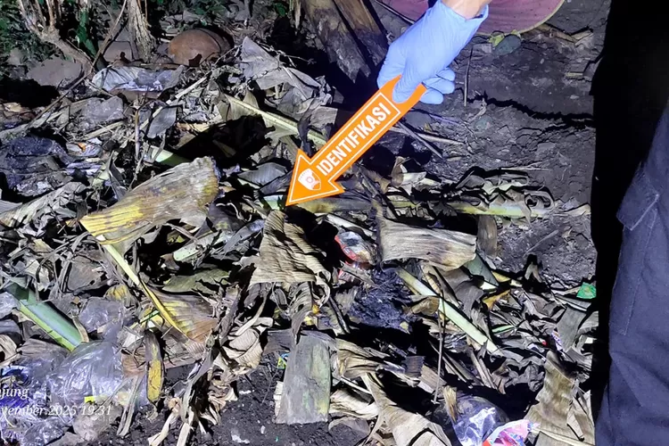 kronologi-lengkap-ibu-di-banyuwangi-kubur-bayinya-di-belakang-rumah,-polisi-ungkap-fakta-mengerikan