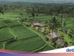 Kenalkan Wisata Hidden Gem, Pemkab Banyuwangi Hadirkan Ijen Golden Route