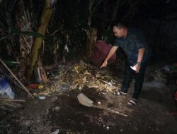 Miris, Tak Mau Memiliki Anak Lagi Perempuan Asal Wongsorejo Nekat Kubur Bayinya Sendiri