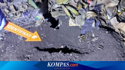 polisi-dalami-dugaan-ibu-kubur-bayi-hidup-hidup-di-banyuwangi