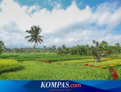 Kenalkan Destinasi “Hidden Gem” di Kawasan Ijen, Bupati Banyuwangi Luncurkan Ijen Golden Route