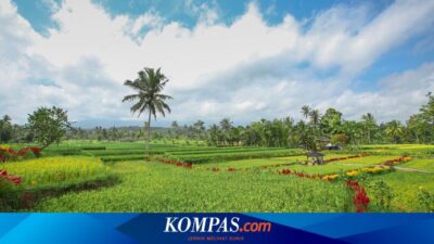 kenalkan-destinasi-“hidden-gem”-di-kawasan-ijen,-bupati-banyuwangi-luncurkan-ijen-golden-route