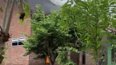 petir-sambar-aliran-listrik,-kamar-rumah-di-klatak-banyuwangi-terbakar