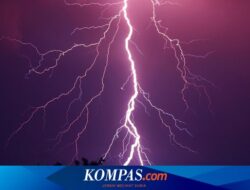 Bermain dengan Cucu di Dalam Rumah, Nenek di Banyuwangi Tewas Tersambar Petir