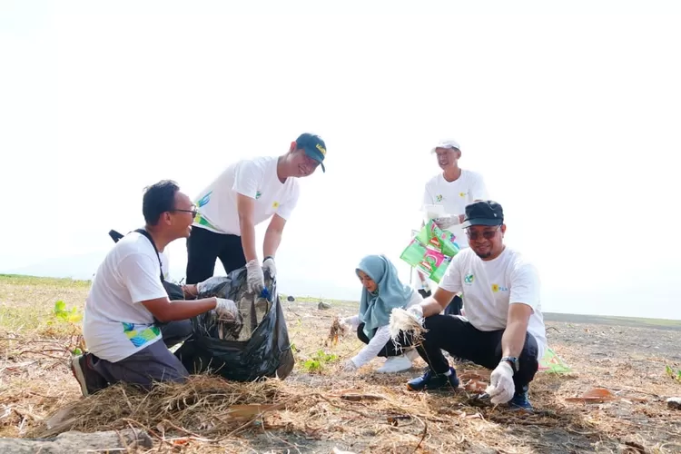 peringati-hln-ke-80,-pln-up3-banyuwangi-gelar-jalan-sehat-dan-aksi-peduli-lingkungan-di-pantai-boom