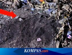 Ibu yang Kubur Bayi di Banyuwangi Ditetapkan sebagai Tersangka, Dijerat 3 Pasal