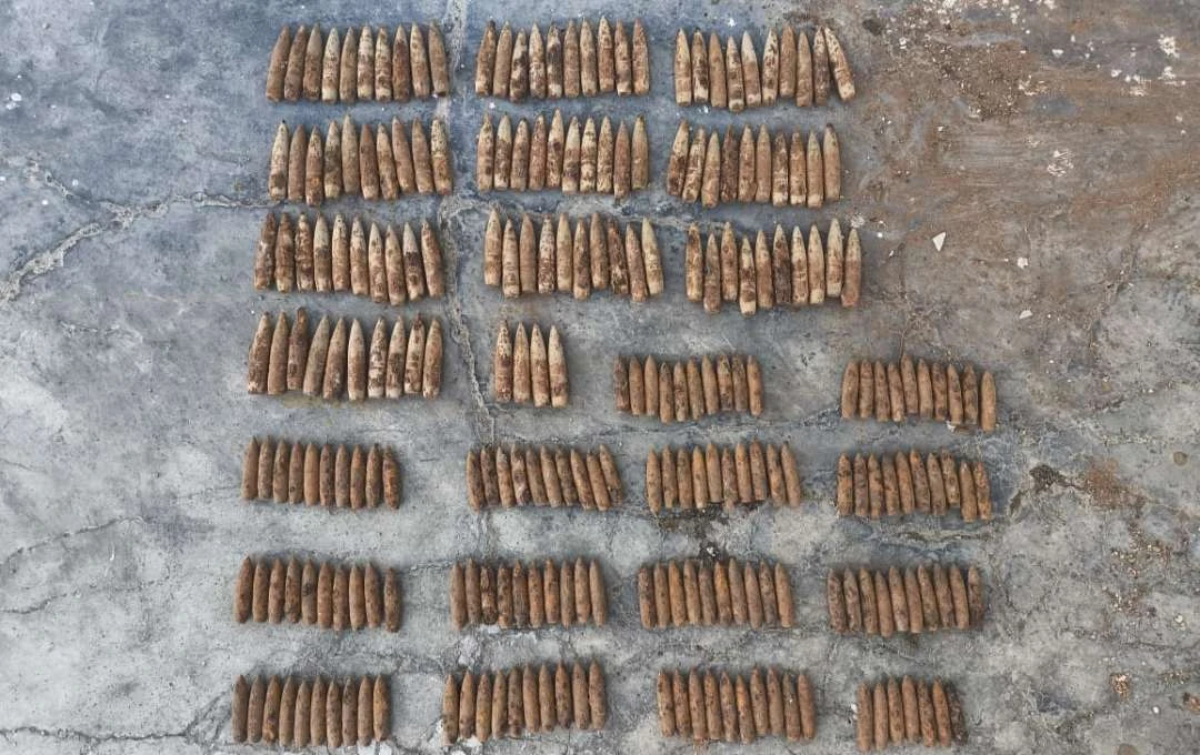 petugas-angkut-sampah-di-banyuwangi-temukan-241-proyektil-peluru