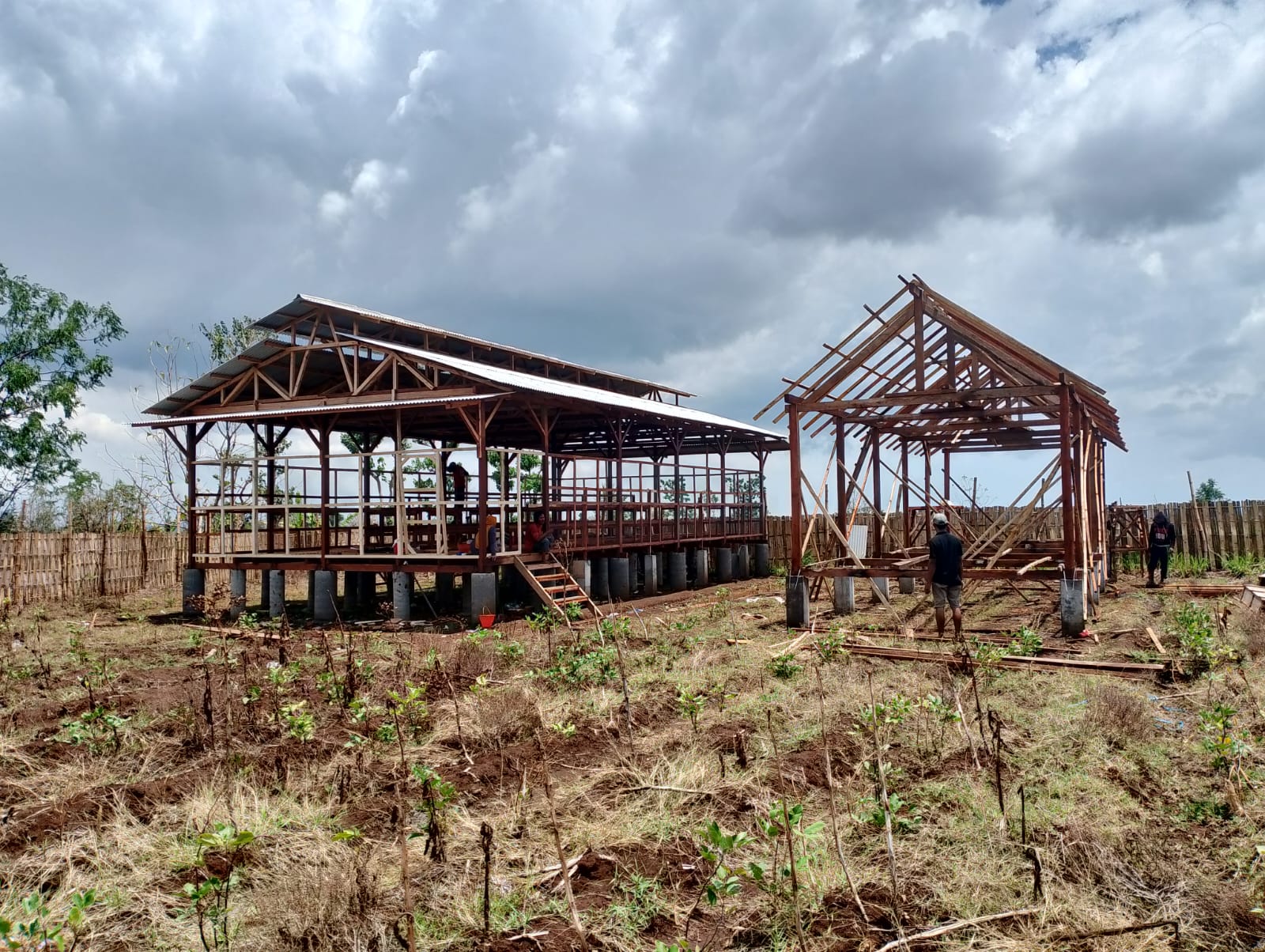 dua-kandang-ayam-berdiri-di-tanah-kas-desa-sidowangi,-dikelola-penuh-oleh-bumdes-untuk-ketahanan-pangan