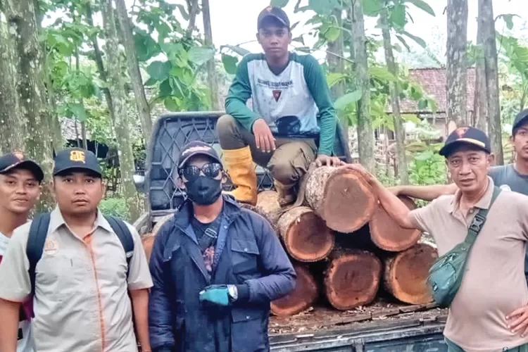 ketahuan!-pelaku-pembalakan-liar-kabur-tinggalkan-8-batang-kayu-jati-di-tengah-hutan-barurejo-banyuwangi