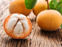 Lima Buah Langka di Indonesia, Pernah Cicip? – TIMES Banyuwangi