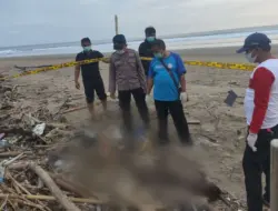 Mayat Perempuan Mrs. X Ditemukan di Pantai Rowobendo Alas Purwo, Kondisi Sudah Membusuk