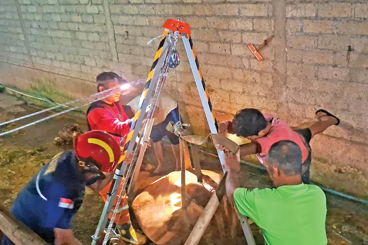 aduh!-sapi-baru-melahirkan-terjebak-di-sumur-tinja,-damkar-banyuwangi-berjuang-tengah-malam
