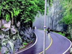 Waspada! Kabut Tebal dan Hujan Lebat Selimuti Jalur Gunung Gumitir, Risiko Kecelakaan Meningkat