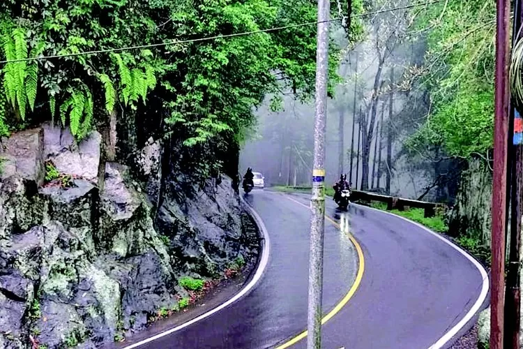 waspada!-kabut-tebal-dan-hujan-lebat-selimuti-jalur-gunung-gumitir,-risiko-kecelakaan-meningkat