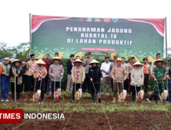 Penguatan Ketahanan Pangan, Kapolresta Banyuwangi Tanam Jagung di Lahan 50 Hektare – TIMES Banyuwangi
