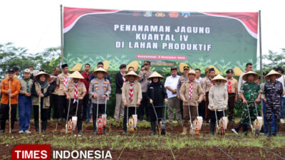 penguatan-ketahanan-pangan,-kapolresta-banyuwangi-tanam-jagung-di-lahan-50-hektare-–-times-banyuwangi