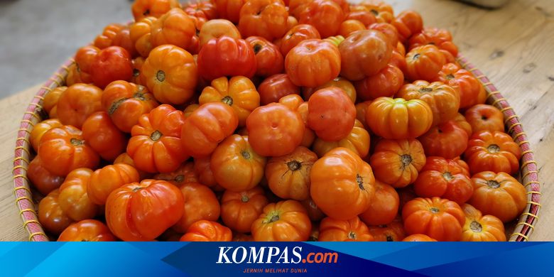 apa-itu-tomat-ranti,-kunci-asam-segar-pedas-sambal-tempong?