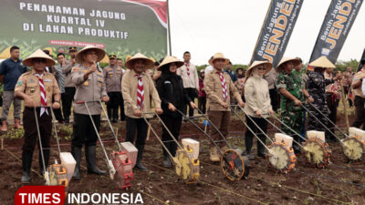 produksi-padi-dan-jagung-banyuwangi-melonjak-di-tahun-2025-–-times-banyuwangi