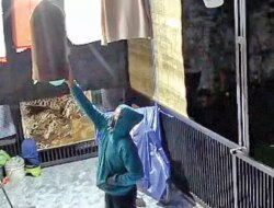 Sedih! Burung Murai dan Sogok Ontong Kesayangan Warga Sempu Banyuwangi Dicuri Saat Dini Hari