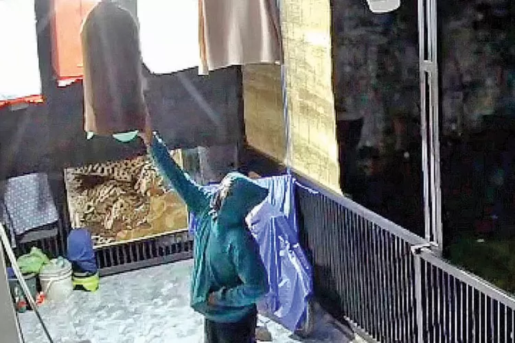 sedih!-burung-murai-dan-sogok-ontong-kesayangan-warga-sempu-banyuwangi-dicuri-saat-dini-hari