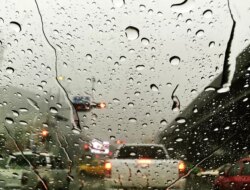 Hujan Deras Lumpuhkan Poros Jalan Nasional Denpasar–Gilimanuk! Pohon Tumbang & Banjir Rendam Rumah Warga di Melaya