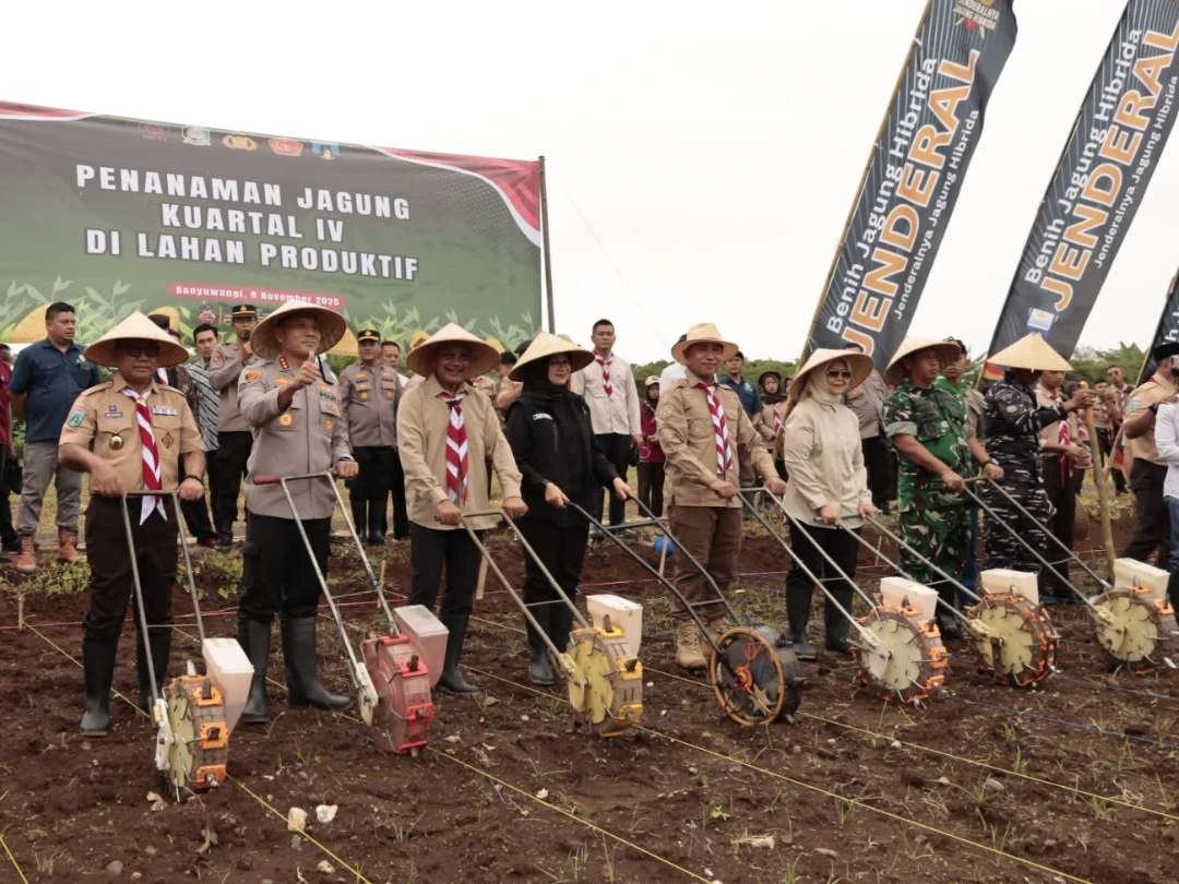 hasil-kolaborasi-berbagai-pihak,-banyuwangi-surplus-padi-dan-jagung