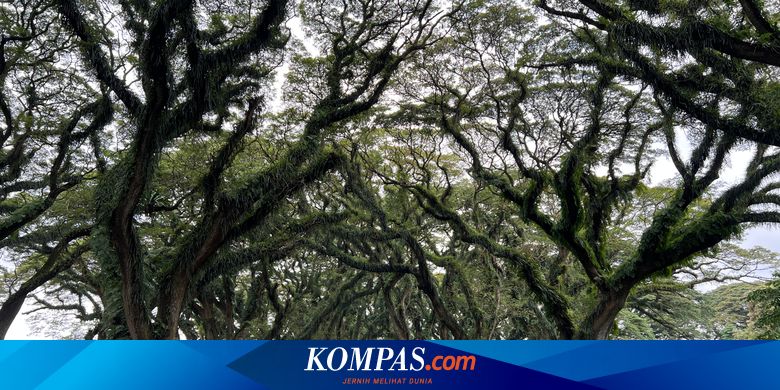 4-rekomendasi-wisata-di-banyuwangi,-cocok-untuk-libur-akhir-tahun