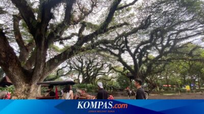 sering-jadi-lokasi-film-horor,-wisatawan-takut-ke-banyuwangi?