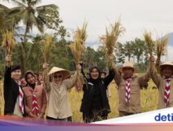 Banyuwangi Catat Surplus Padi-Jagung, Ipuk: Bukti Sinergi Semua Pihak