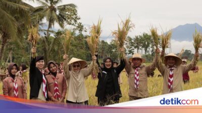 banyuwangi-catat-surplus-padi-jagung,-ipuk:-bukti-sinergi-semua-pihak