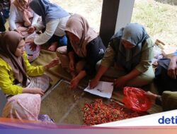 Sinergi Akademisi-Masyarakat Bangun Ekonomi Pesisir Wonorejo