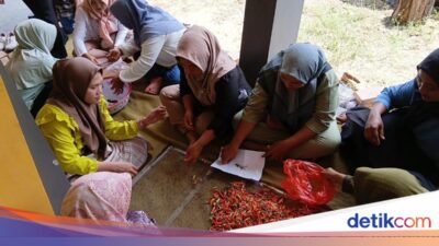 sinergi-akademisi-masyarakat-bangun-ekonomi-pesisir-wonorejo