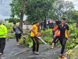 Polresta Banyuwangi Tangani Cepat Angin Puting Beliung dan Pohon Tumbang