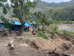 PETI Kian Marak di Gunung Manis Pesanggaran, Iklim Investasi Banyuwangi Terancam – TIMES Banyuwangi