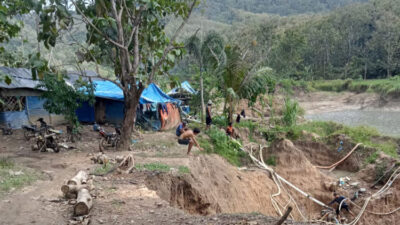 peti-kian-marak-di-gunung-manis-pesanggaran,-iklim-investasi-banyuwangi-terancam-–-times-banyuwangi