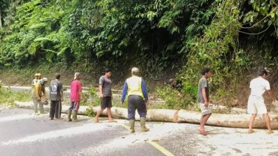 jalur-gumitir-macet-lagi!-pembersihan-longsor-dan-pohon-tumbang-bikin-arus-lalu-lintas-buka-tutup