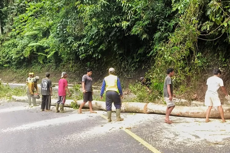 jalur-gumitir-macet-lagi!-pembersihan-longsor-dan-pohon-tumbang-bikin-arus-lalu-lintas-buka-tutup