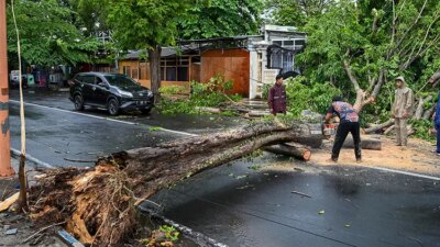 banyuwangi-dihajar-puting-beliung-15-menit-hancurkan-teras-rumah-dan-tumbangkan-pohon-di-sejumlah-titik